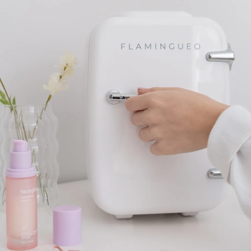 Flamingueo Mini Frigo - Petit Frigo, Mini Frigo de Chambre , Mini Frigo Cosmetique, Fonction Chaud et Froid, Refrigerateur Petit, Frigo Bar, Tendance, cadeau